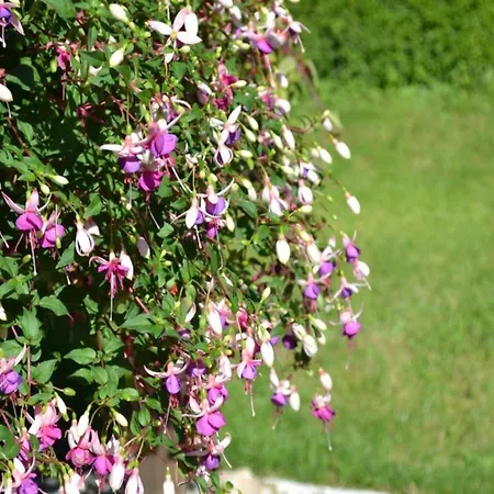 Holiday Home Loubejac Near Dordogne, Cleaning Included Loubejac
