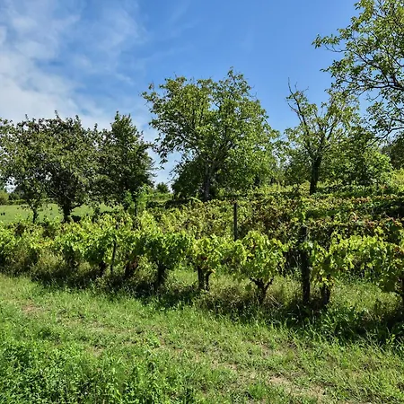 Holiday Home Loubejac Near Dordogne, Cleaning Included *